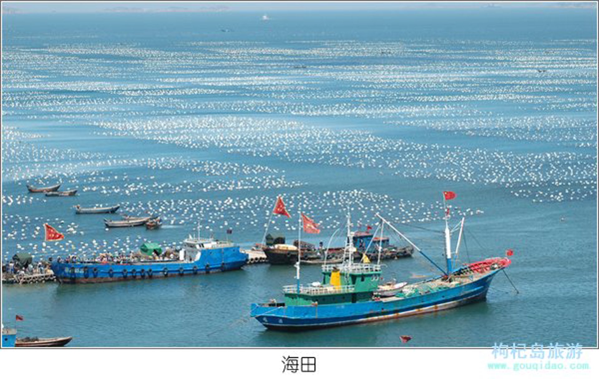 牧加牧场